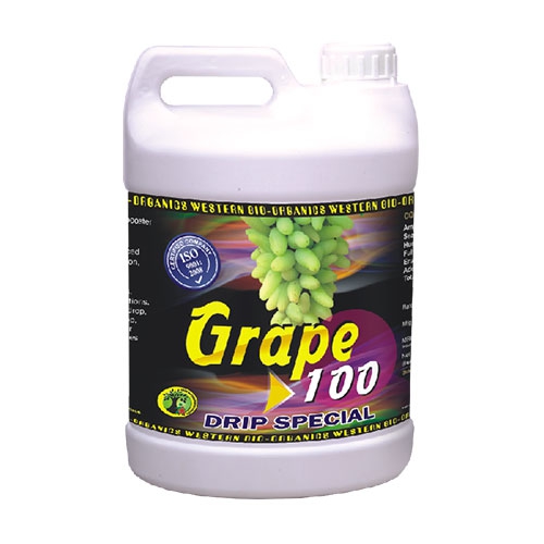 Grape 100 Drip (1Ltr.)